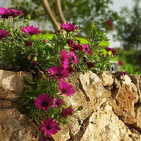 Garden House * Ksamil