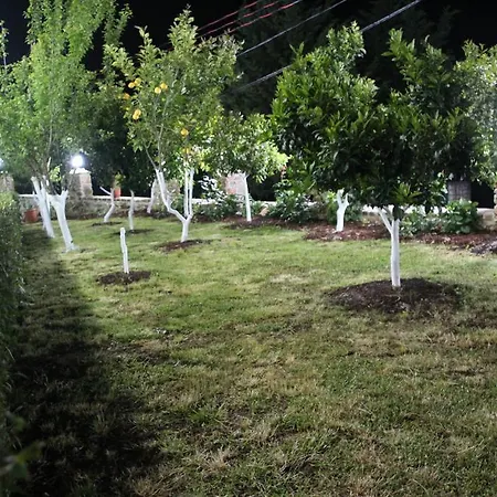Garden House 펜션