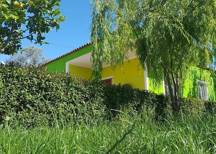 Dom wakacyjny Garden House *