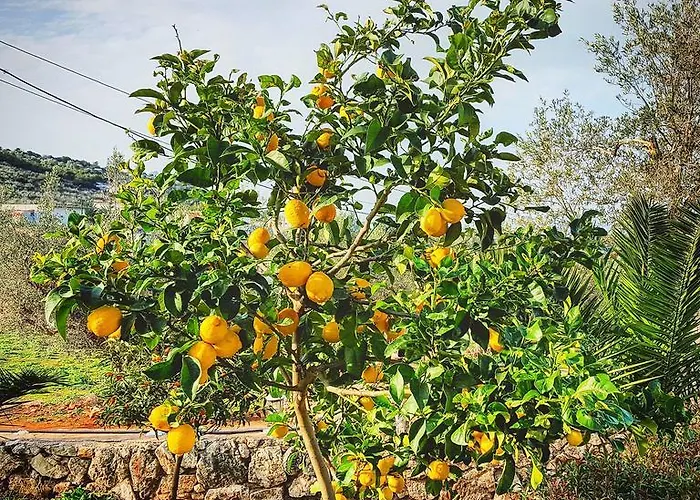 Garden House Dom wakacyjny