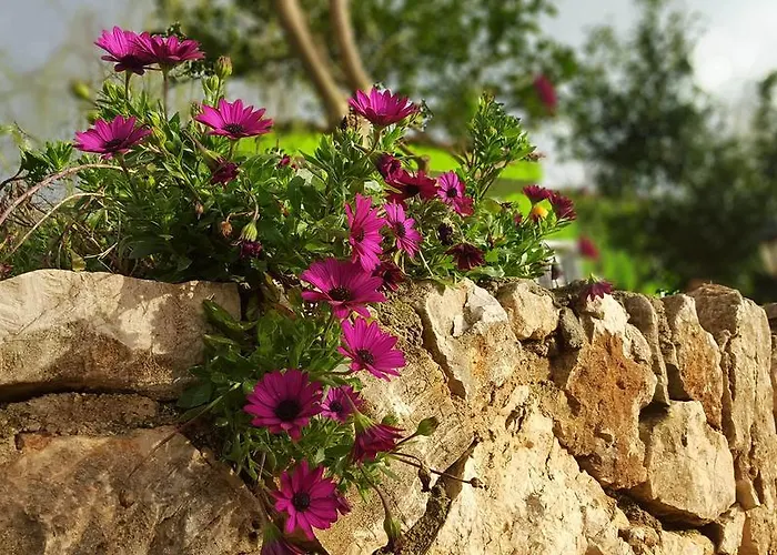 Garden House * Ksamil