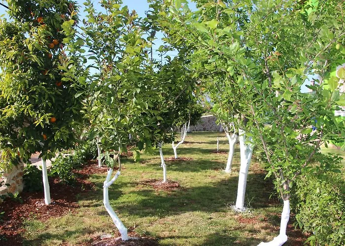 Garden House Dom wakacyjny