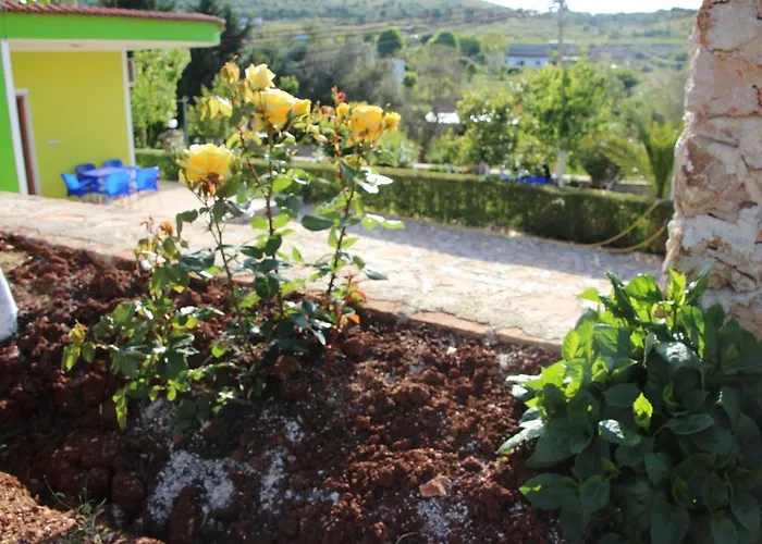 Dom wakacyjny Garden House Ksamil